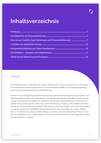 LP-Inhalt-Whitepaper-Prozessoptimierung