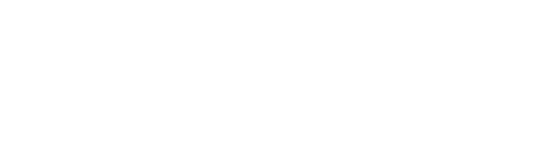 edoc logo weiss